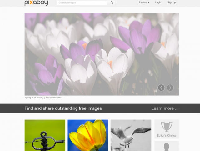 Pixabay - Bilderdatenbank für lizenzfreie Bilder für Blog und Webseiten