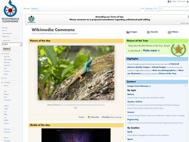 Wikimedia - Bilderdatenbank für lizenzfreie Bilder für Blog und Webseiten