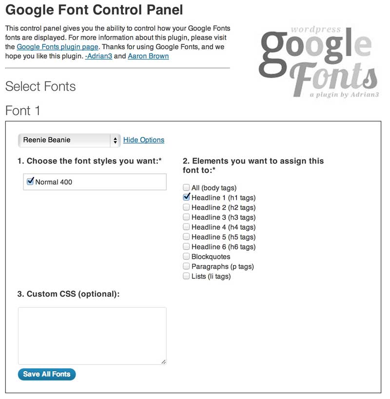 WordPress Plugin Google Font richtig konfigurieren